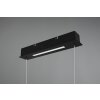 Trio Aick Pendant Light LED black, 1-light source
