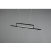 Trio Aick Pendant Light LED black, 1-light source