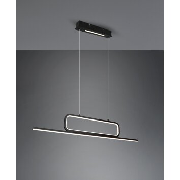Trio Aick Pendant Light LED black, 1-light source