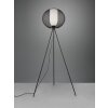 Trio Filo Floor Lamp black, 1-light source