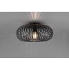 Trio Johann Ceiling Light black, 1-light source