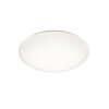 Trio Paolo Ceiling Light LED white, 1-light source