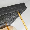 FEVAAG Ceiling Light gold, black, 2-light sources