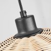 HELDAL Pendant Light black, 1-light source
