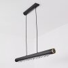 RODECHE Pendant Light LED black, 1-light source
