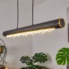 RODECHE Pendant Light LED black, 1-light source