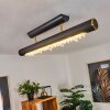 RODECHE Ceiling Light LED brass, black, 1-light source