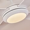 TJERNE ceiling fan LED white, 1-light source, Remote control