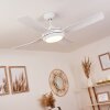 TJERNE ceiling fan LED white, 1-light source, Remote control