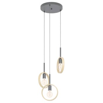 Eglo-Leuchten IPSDEN Pendant Light black, 3-light sources