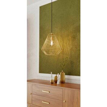 Eglo-Leuchten STYPE Pendant Light gold, 1-light source
