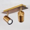 ZUOZ Ceiling Light antique brass, 2-light sources