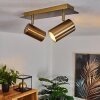 ZUOZ Ceiling Light antique brass, 2-light sources