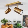 ZUOZ Ceiling Light antique brass, 2-light sources