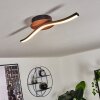 ODDA Ceiling Light
