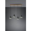 Trio-Leuchten HENLEY Pendant Light black, 4-light sources