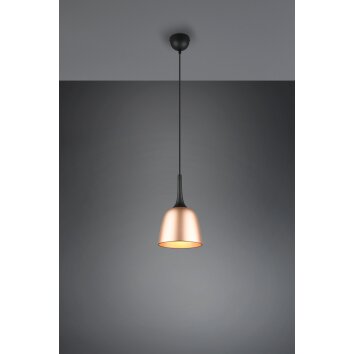 Trio-Leuchten CHIRON Pendant Light brass, 1-light source