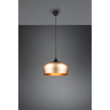 Trio-Leuchten CHIRON Pendant Light brass, 1-light source