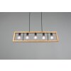 Trio-Leuchten AGRA Pendant Light black, 5-light sources
