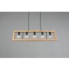Trio-Leuchten AGRA Pendant Light black, 5-light sources