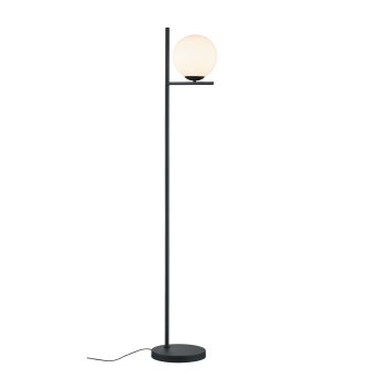 Trio-Leuchten PURE Floor Lamp black, 1-light source