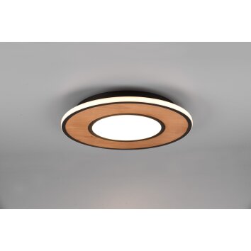 Trio-Leuchten DEACON Ceiling Light LED brown, 1-light source