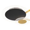 Globo SENNA Ceiling Light LED black, 1-light source, Remote control