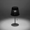 Leuchten-Direkt MANDY Table lamp LED anthracite, 1-light source