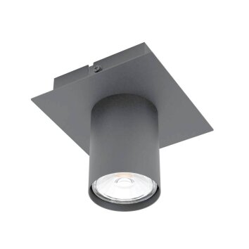 Eglo-Leuchten VALCASOTTO Ceiling Light LED black, 1-light source