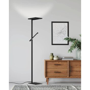 Eglo-Leuchten CARBONERAS Floor Lamp LED black, 2-light sources