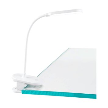 Eglo-Leuchten RAIZAL clamp-on light LED white, 1-light source