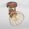 GRUNNFJORD Ceiling Light gold, Dark wood, 1-light source