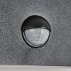 HAGA Outdoor Wall Light LED black, 1-light source, Motion sensor