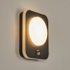HAGA Outdoor Wall Light LED black, 1-light source, Motion sensor