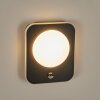 HAGA Outdoor Wall Light LED black, 1-light source, Motion sensor