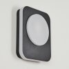 HAGA Outdoor Wall Light LED black, 1-light source