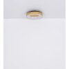 Globo JOLLI Ceiling Light LED Wood like finish, 1-light source, Remote control