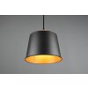 Trio-Leuchten HARRIS Pendant Light black, 1-light source