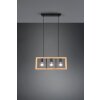 Trio-Leuchten AGRA Pendant Light black, 3-light sources