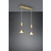 Trio-Leuchten FRANKLIN Pendant Light LED brass, 2-light sources
