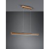 Trio-Leuchten DEACON Pendant Light LED, 1-light source
