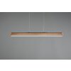 Trio-Leuchten DEACON Pendant Light LED, 1-light source