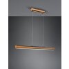 Trio-Leuchten DEACON Pendant Light LED, 1-light source