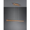 Trio-Leuchten DEACON Pendant Light LED, 1-light source