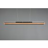 Trio-Leuchten DEACON Pendant Light LED, 1-light source