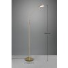 Trio-Leuchten MONZA Floor Lamp LED brass, 1-light source