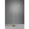 Trio-Leuchten MONZA Floor Lamp LED brass, 1-light source
