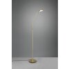 Trio-Leuchten MONZA Floor Lamp LED brass, 1-light source