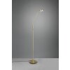 Trio-Leuchten MONZA Floor Lamp LED brass, 1-light source
