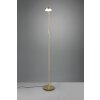 Trio-Leuchten MONZA Floor Lamp LED brass, 1-light source